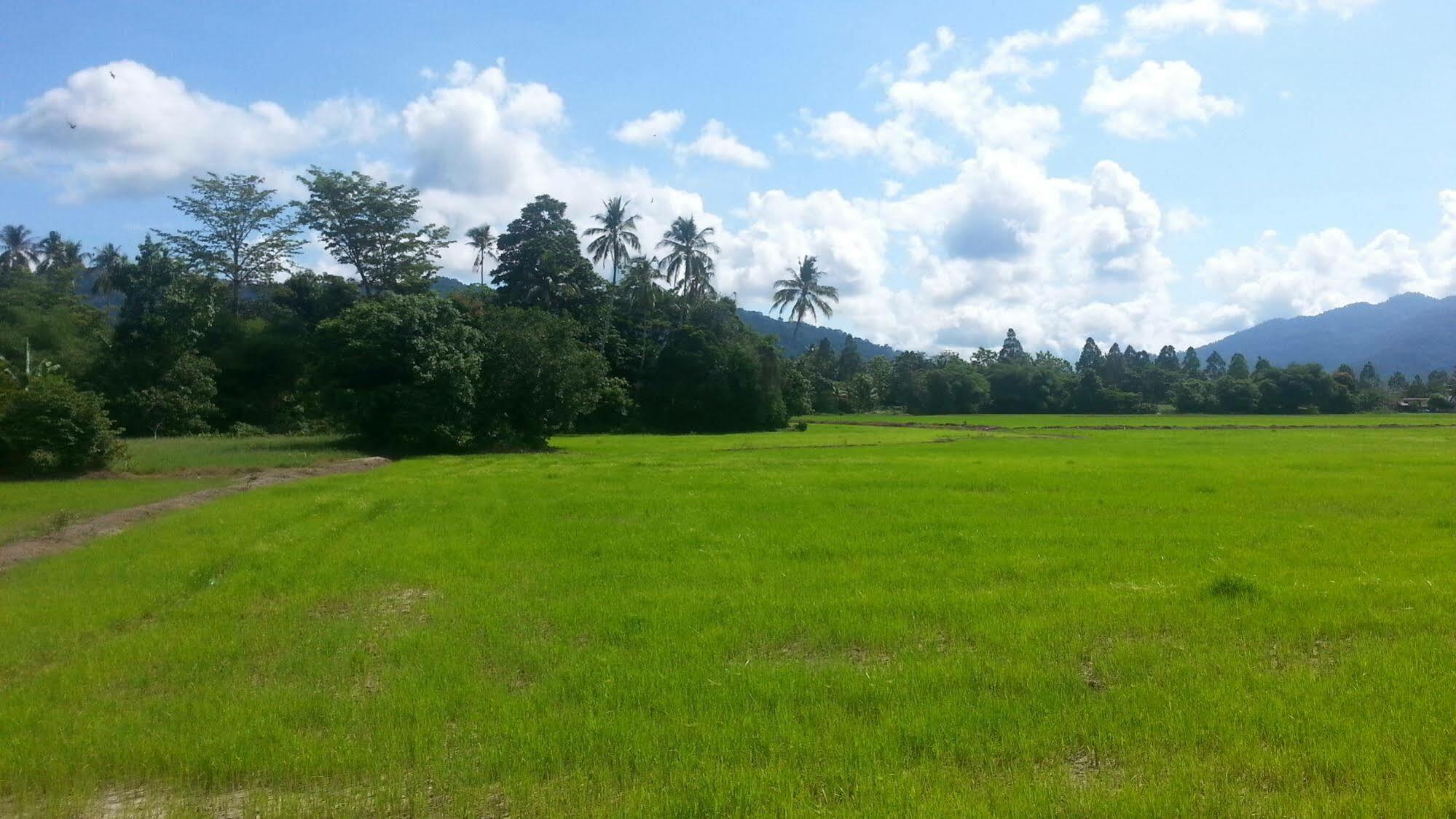Oyo 275 Senyum Inn Pantai Cenang  Zewnętrze zdjęcie